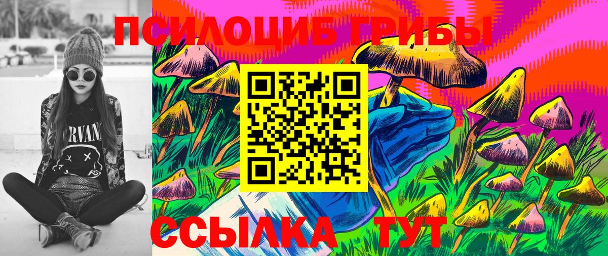 Сальск  Галлюциногенные грибы Psilocybe  Псилоцибиновые грибы мицелий  Вход с VPN 